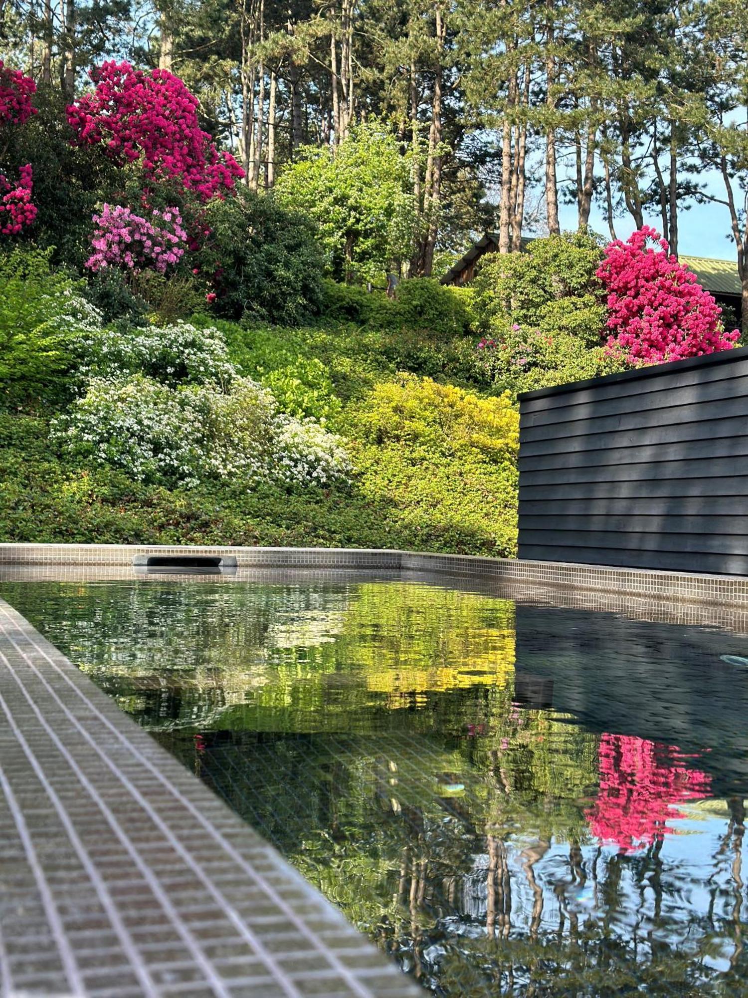 Les Pins De Cesar - La Campagne D'Etretat Hotel Saint-Jouin-Bruneval ภายนอก รูปภาพ